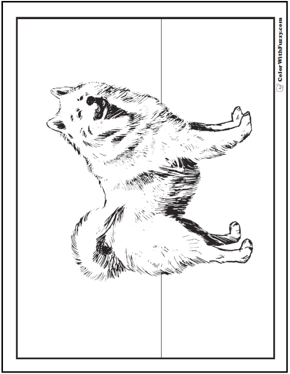 printable siberian husky coloring pages