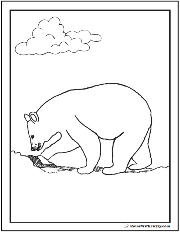 Bear Coloring Pages: Grizzlies, Koalas, Pandas, Polar, and ...