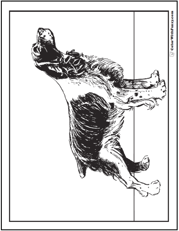 Dog Paw Prints coloring page  Free Printable Coloring Pages