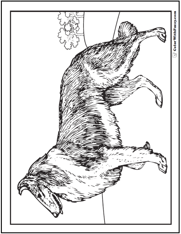 35 dog coloring pages breeds bones and dog houses