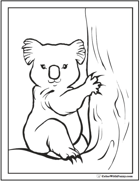 Download Koala Coloring Pages For Kids: Hop A Ride With a Koala!