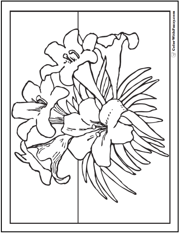12 Lily Coloring Pages Fun Interactive Notebook PDF Printables