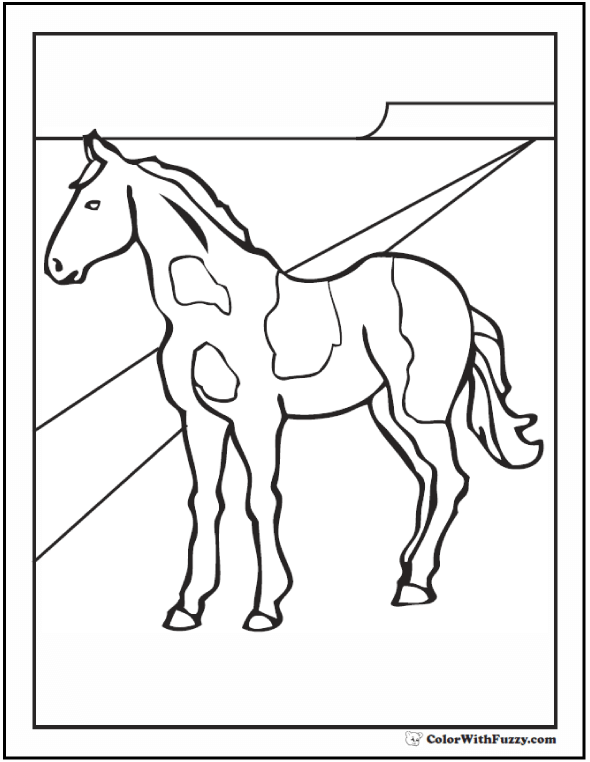 Horse Coloring Page: Riding, Showing, Galloping