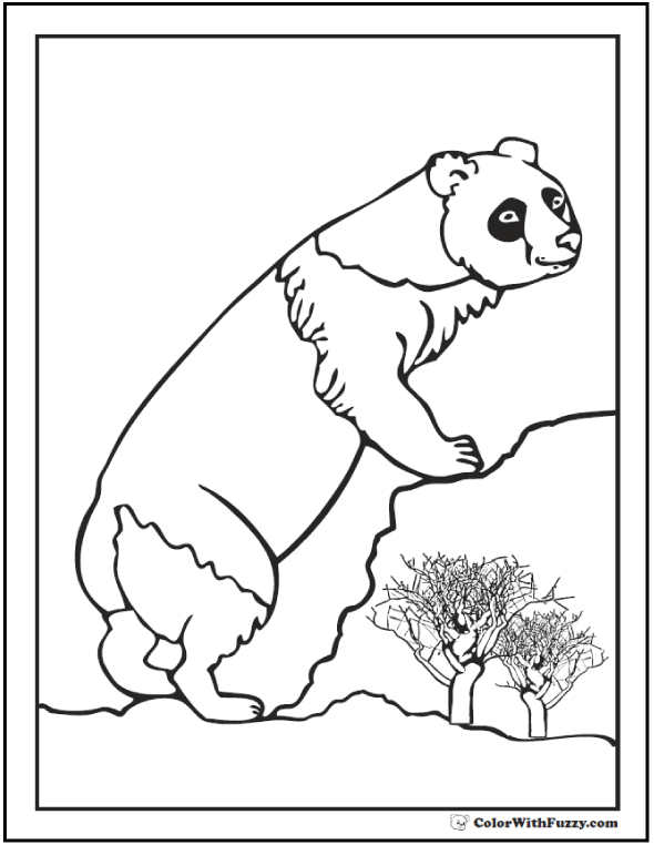 panda bear coloring pages