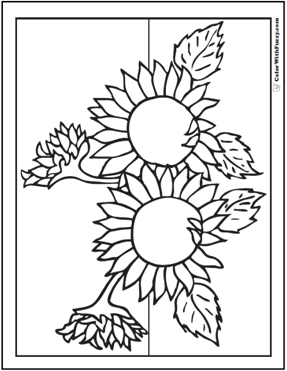sunflower coloring pages for adults