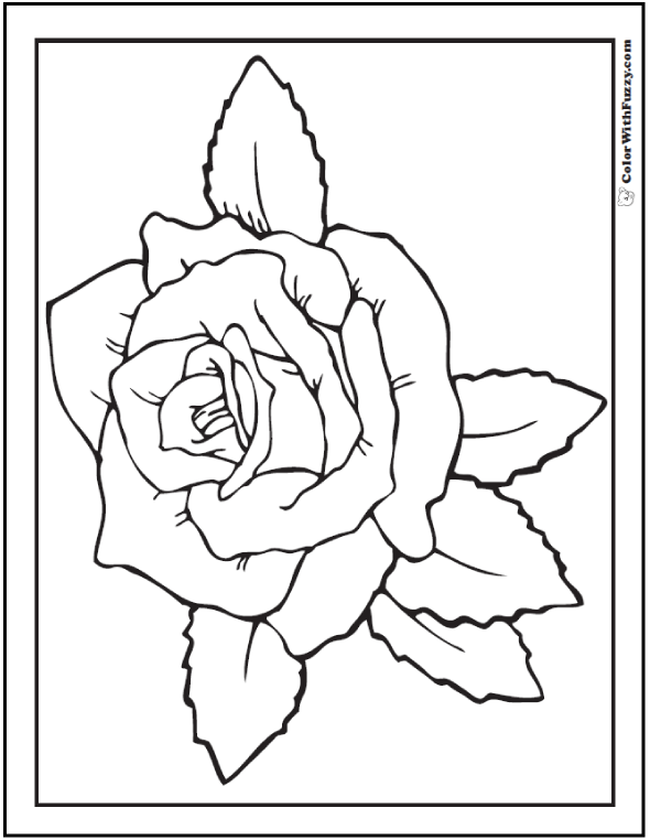 Adult Coloring Book Roses: Advanced Realistic Rose Coloring Book for Adults [Book]