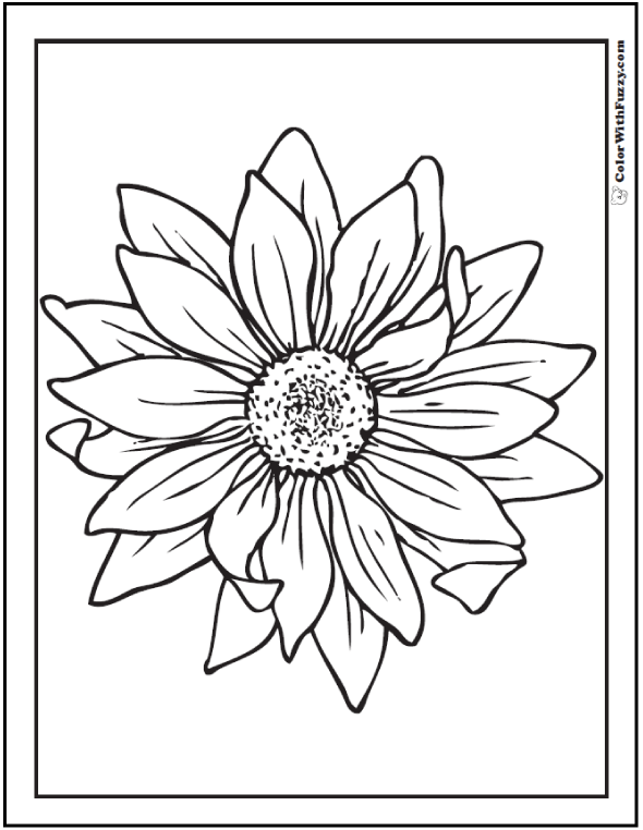 Sunflower Coloring Page: 14+ PDF Printables