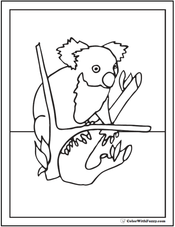 Koala Coloring Pages For Kids: Hop A Ride With a Koala!