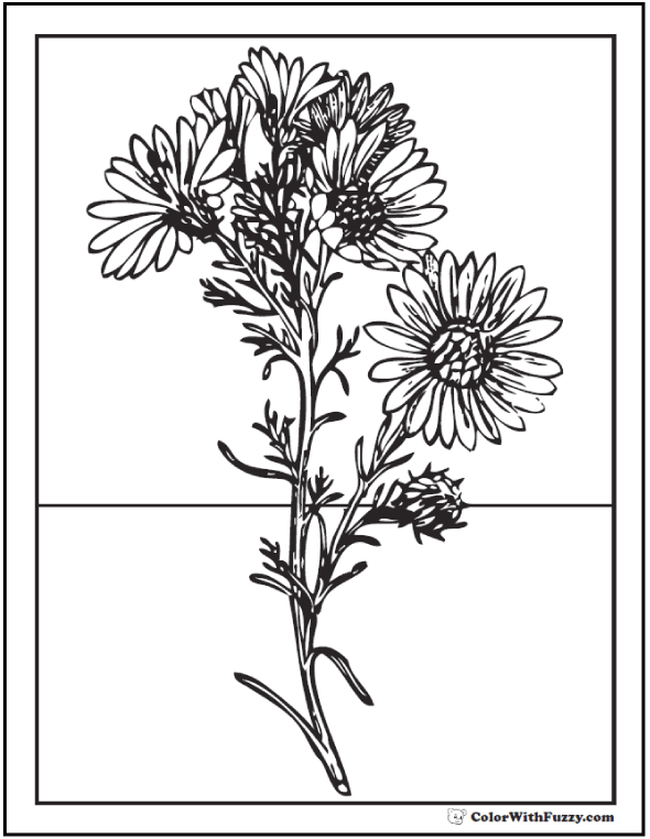 Download Daisy Coloring Pages: 15+ Customizable PDFs