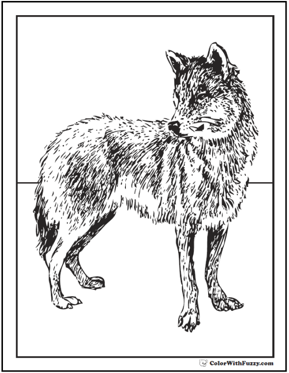 wolves pack coloring pages